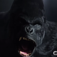 Image for article titled This Week’s TV: The Flash Battles His Hairiest Foe—Gorilla Grodd!